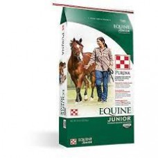 Equine Junior